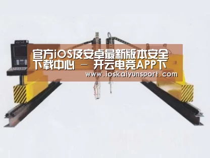 产品名称十七