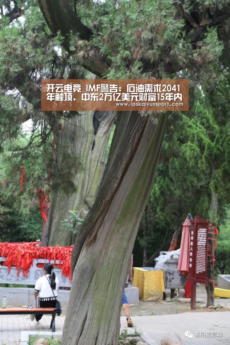 开云电竞_IMF警告:石油需求2041年触顶、中东2万亿美元财富15年内耗尽(图2) 开云电竞