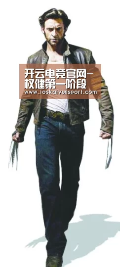 开云电竞官网-权健第一阶段冬训正式开启！昔日中超贝尔主动请缨接受新帅考察