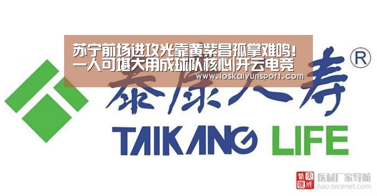 苏宁前场进攻光靠黄紫昌孤掌难鸣！一人可堪大用成球队核心|开云电竞平台