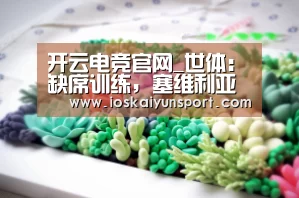 开云电竞官网_世体:缺席训练,塞维利亚中卫卡里索即将飞往中国签约卓尔(图2) 开云电竞官网